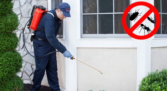 Köse Dezenfeksiyon böcek ilaçlama ve haşere kontrolü — ilaclama-tr.com